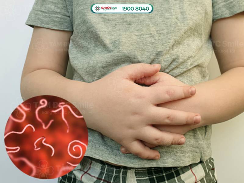 1 năm tẩy giun mấy lần