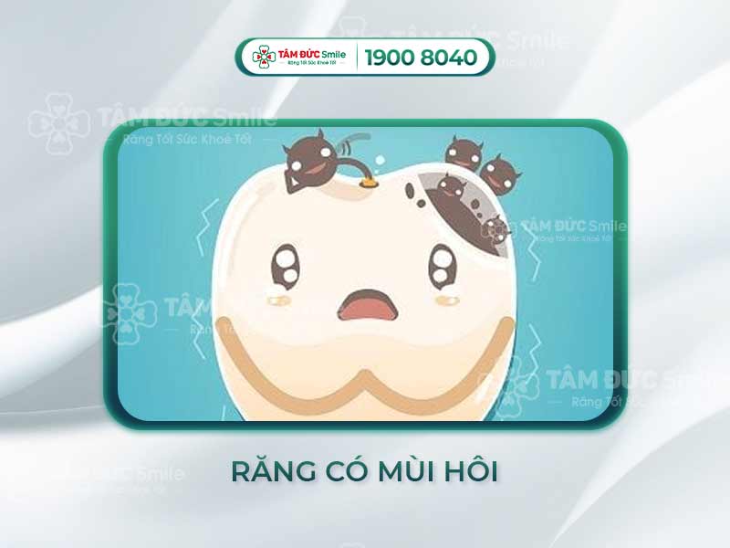 5 CÁCH KHẮC PHỤC LỖ SÂU RĂNG CÓ MÙI HÔI TRIỆT ĐỂ, HIỆU QUẢ CAO