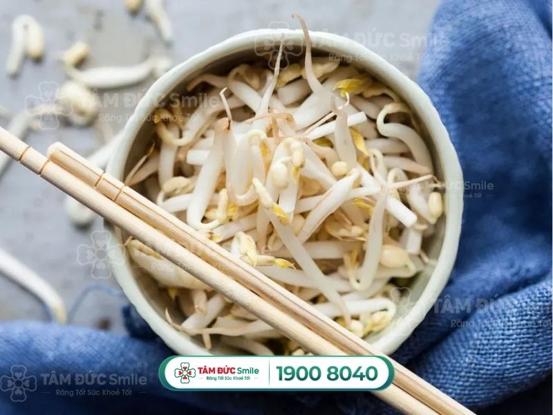 Dinh dưỡng trong giá đỗ