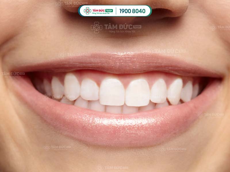 khoang miệng gồm những bộ phận nào