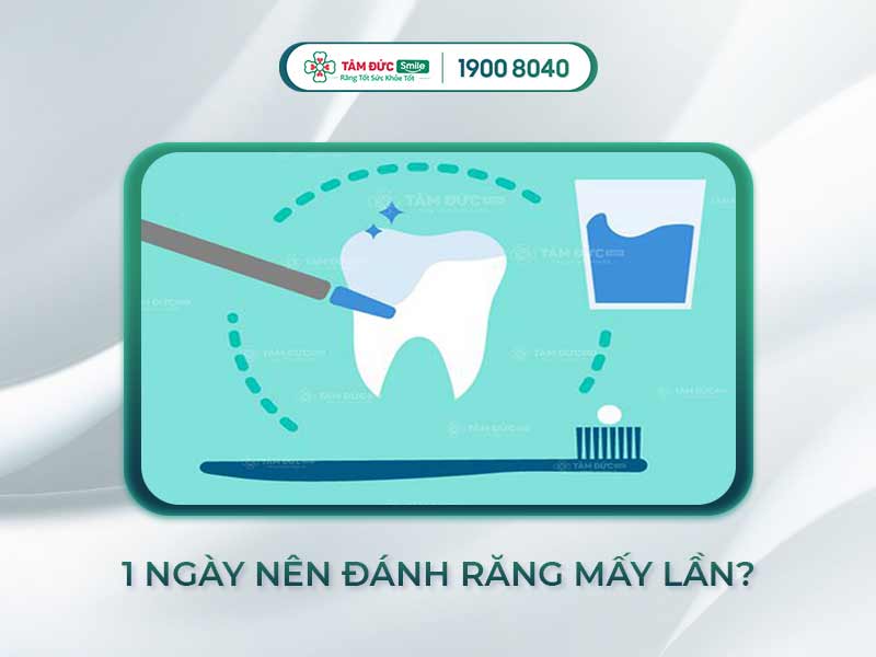 1 NGÀY ĐÁNH RĂNG MẤY LẦN? TẦN SUẤT ĐÁNH RĂNG TỐI ƯU CHO SỨC KHỎE RĂNG MIỆNG
